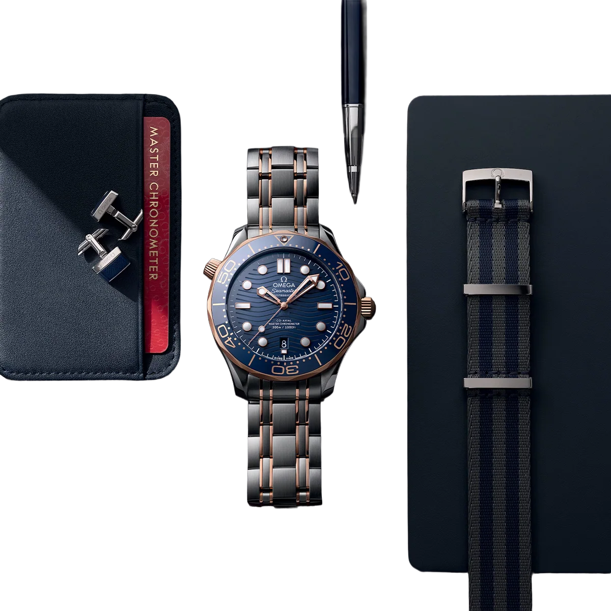 Seamaster Automatic Dial 210.20.42