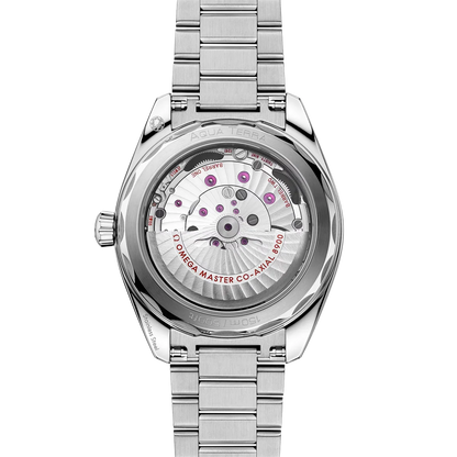 Seamaster Aqua Terra 41 mm
