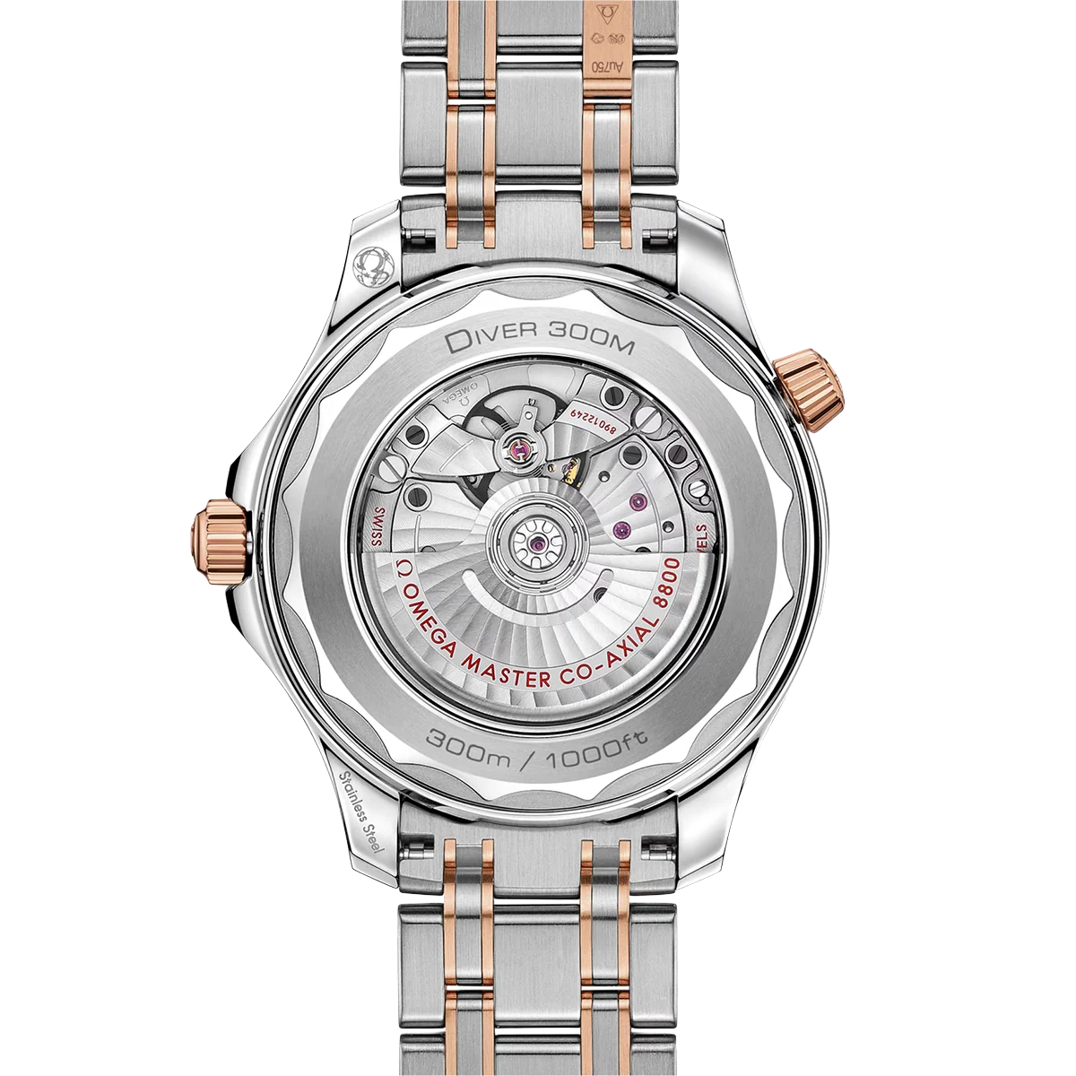 Seamaster Automatic Dial 210.20.42