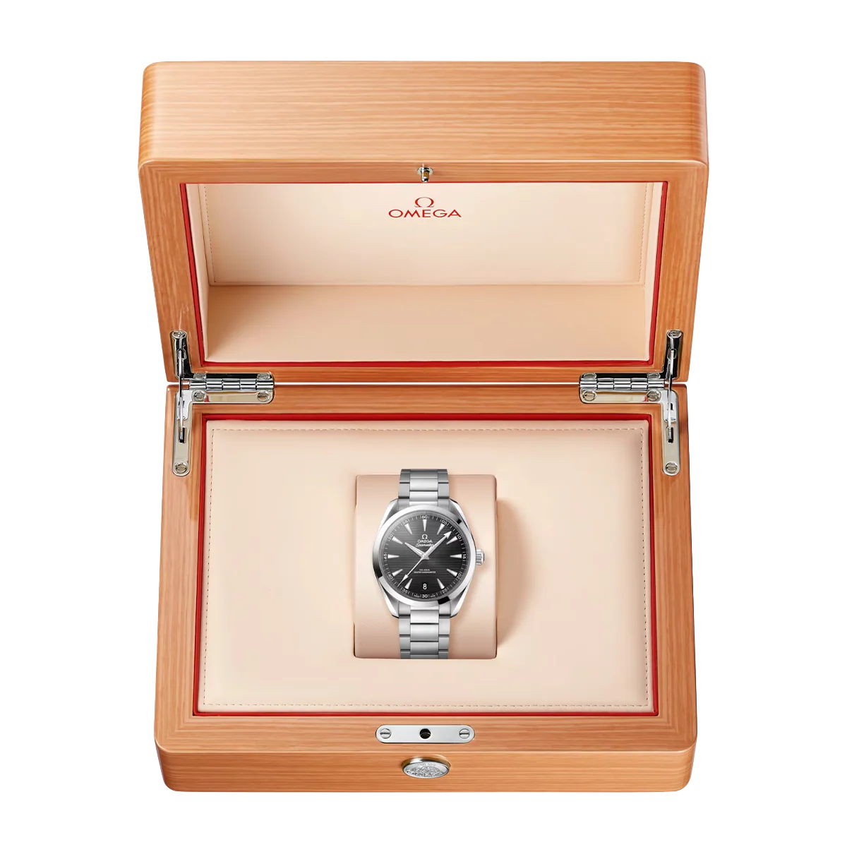 Seamaster Aqua Terra 41 mm Black Dial