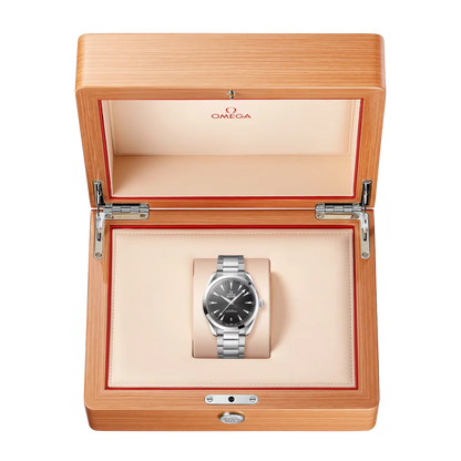 Seamaster Aqua Terra 41 mm Black Dial