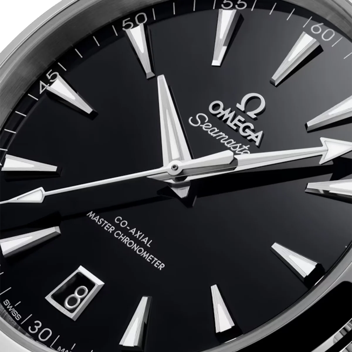 Seamaster Aqua Terra 41 mm