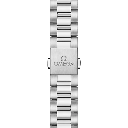 Seamaster Aqua Terra 41 mm