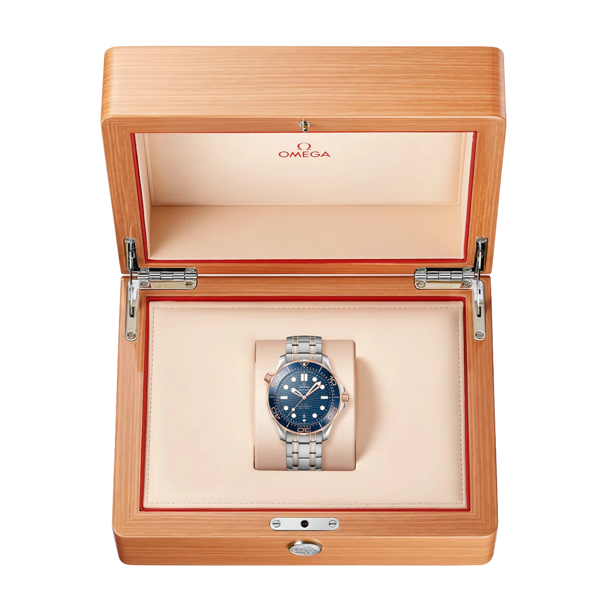 Seamaster Automatic Dial 210.20.42