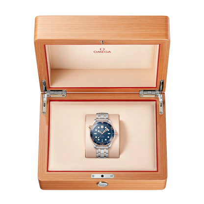 Seamaster Automatic Dial 210.20.42