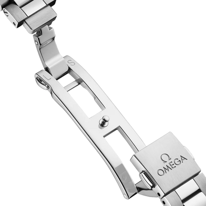 Seamaster Aqua Terra 41 mm