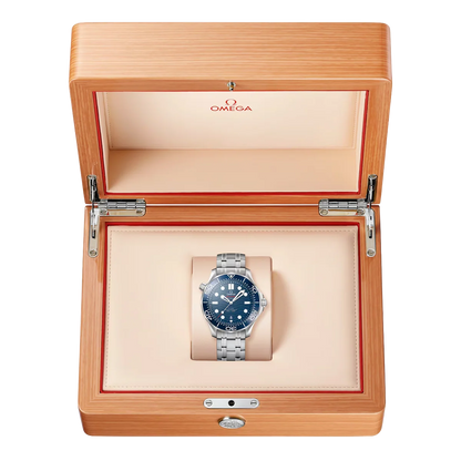 Seamaster Diver 300M 42 mm