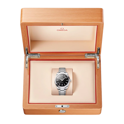 Seamaster Aqua Terra 41 mm