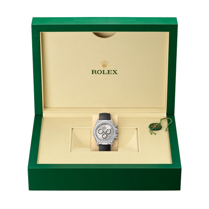 Daytona Oyster 40 mm white gold and diamonds M126539TBR-0002