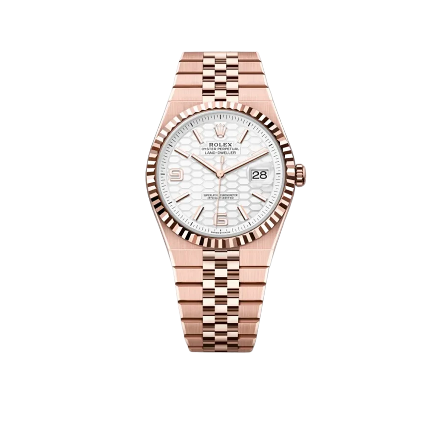 Land-Dweller 40mm Oyster Everose gold M127335-0001