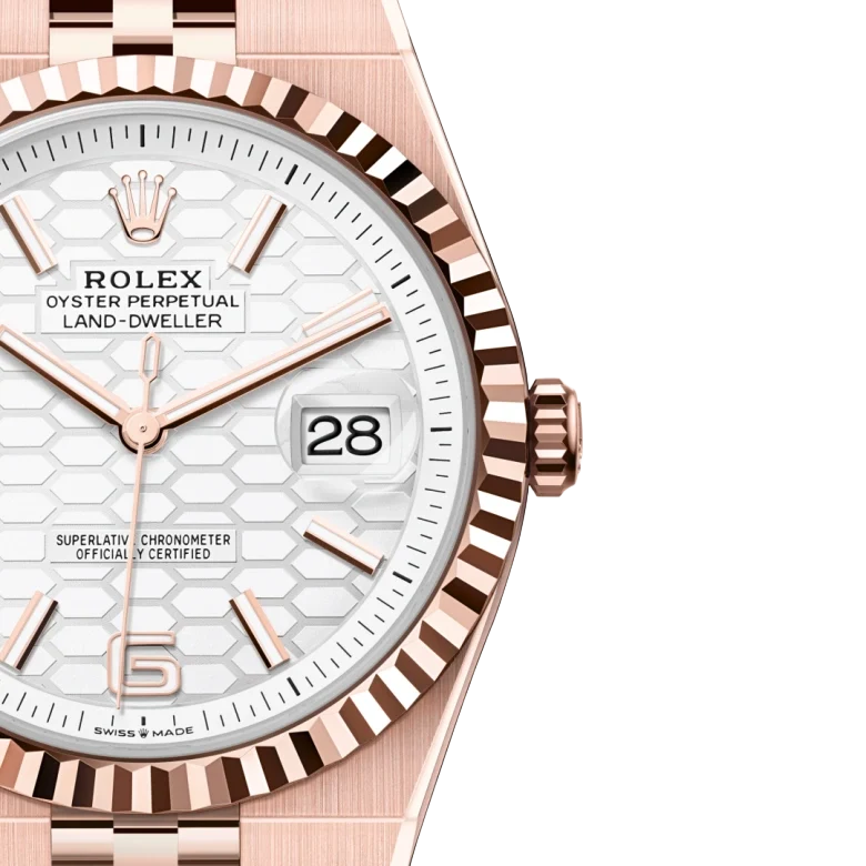 Land-Dweller 40mm Oyster Everose gold M127335-0001