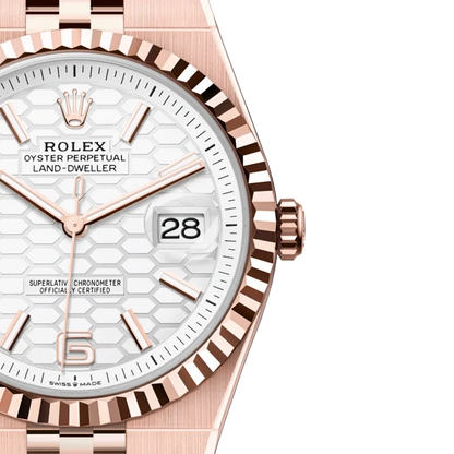 Land-Dweller 40mm Oyster Everose gold M127335-0001