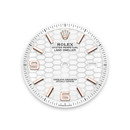 Land-Dweller 40mm Oyster Everose gold M127335-0001